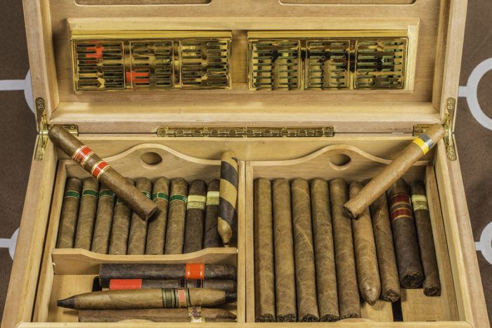 cigar humidor with multiple cigars demonstrating use of LSI keywords for SEO