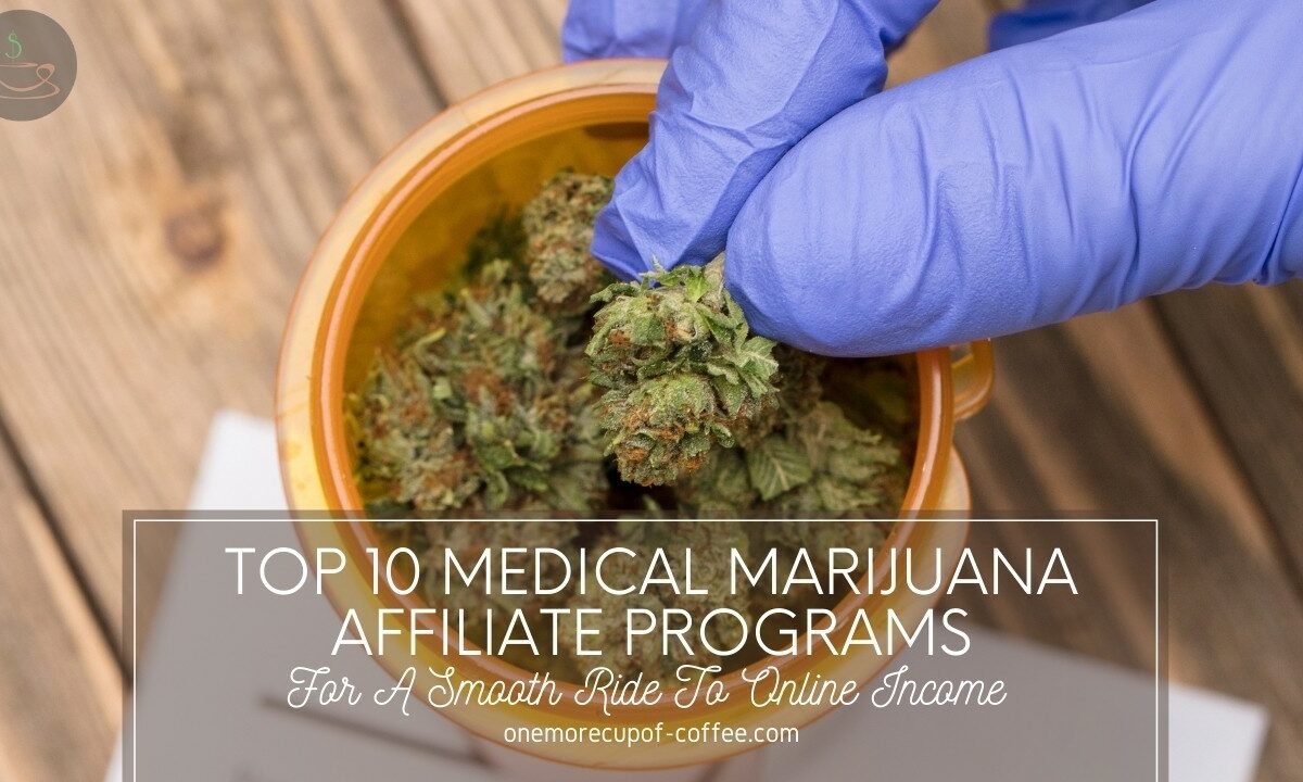 Top 10 Medical Marijuana Affiliate Programs For A Smooth Ride To Online Income featured image