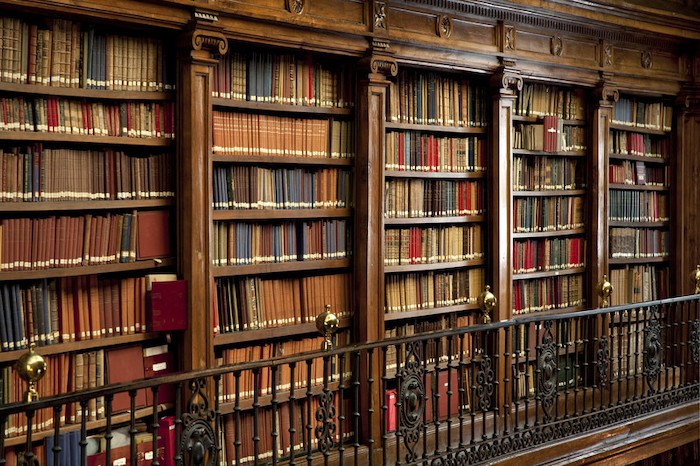 旧图书馆的形象，书架上满是灰尘的书，代表着在富有的附属机构赚钱的利基选择