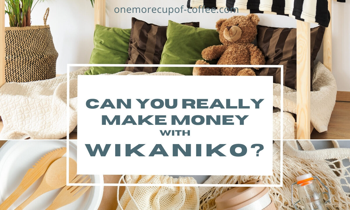 可以You Really Make Money With Wikaniko feature image