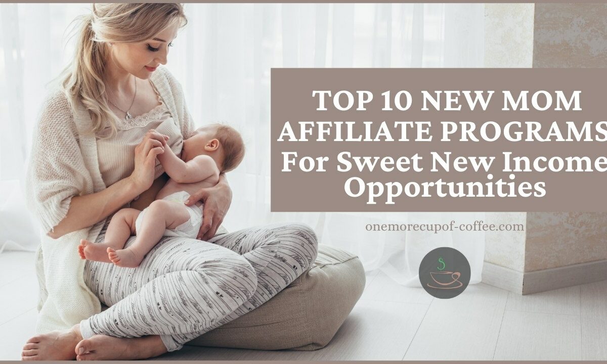 前10名New Mom Affiliate Programs For Sweet New Income Opportunities featured image