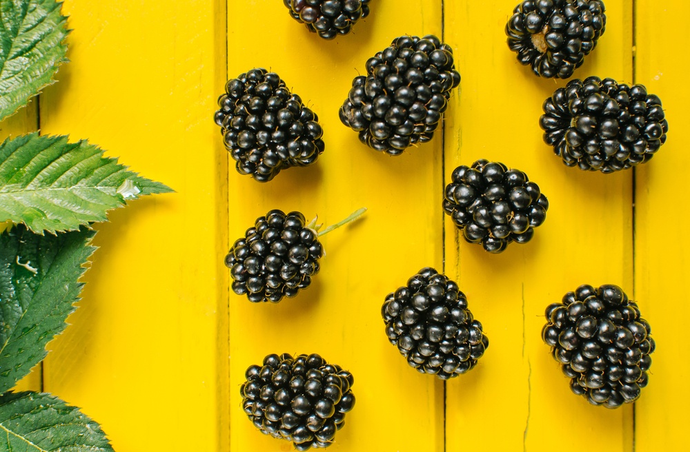 黄色木制背景上的黑莓