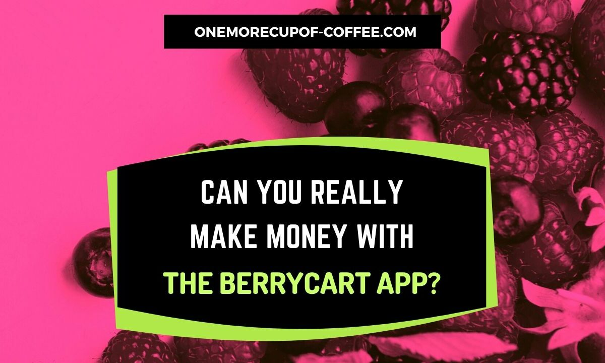 Make Money With The BerryCart App Featured Image