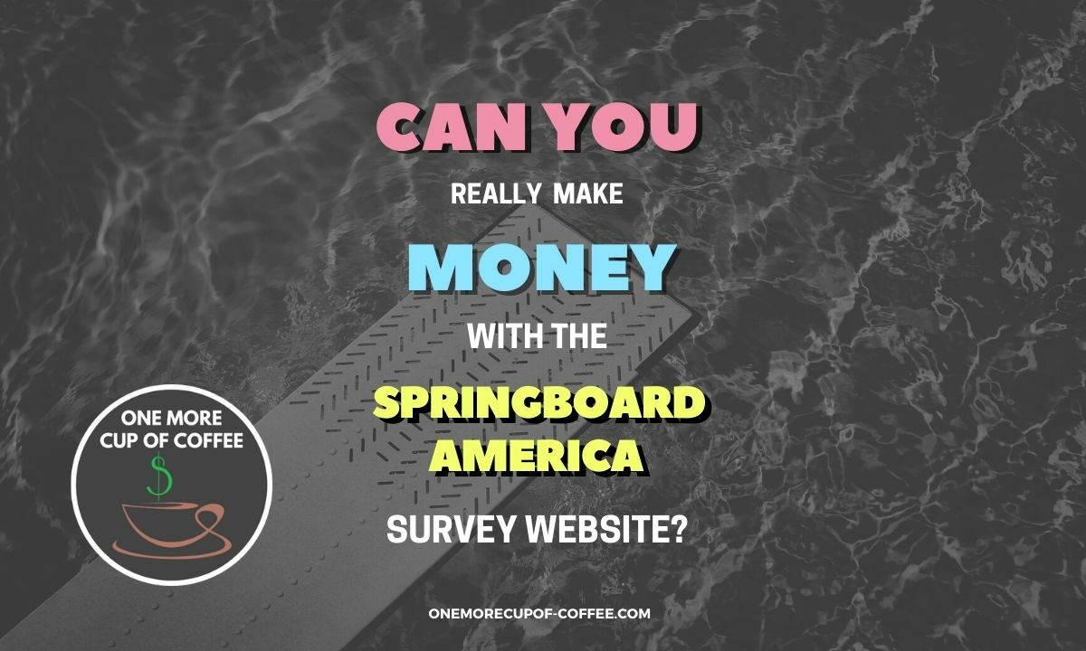 Make Money With The Springboard America Featured Image