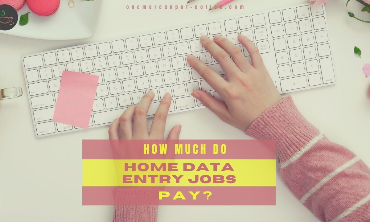 How Much Do Home Data Entry Jobs Pay_ feature image