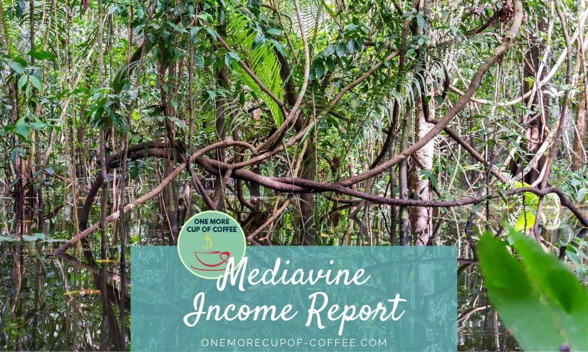 Mediavine Income Report Featured Image