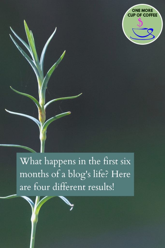 green seedling plant to represent the first six months of a growing a new blog