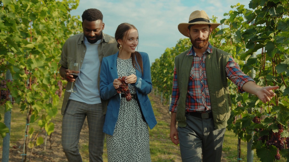 A tour guide wearing a hat and a vest leads tourists through a vinyard.