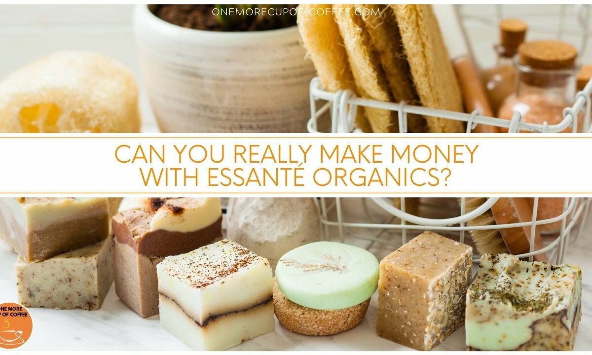 Can You Really Make Money With Essanté Organics featured image