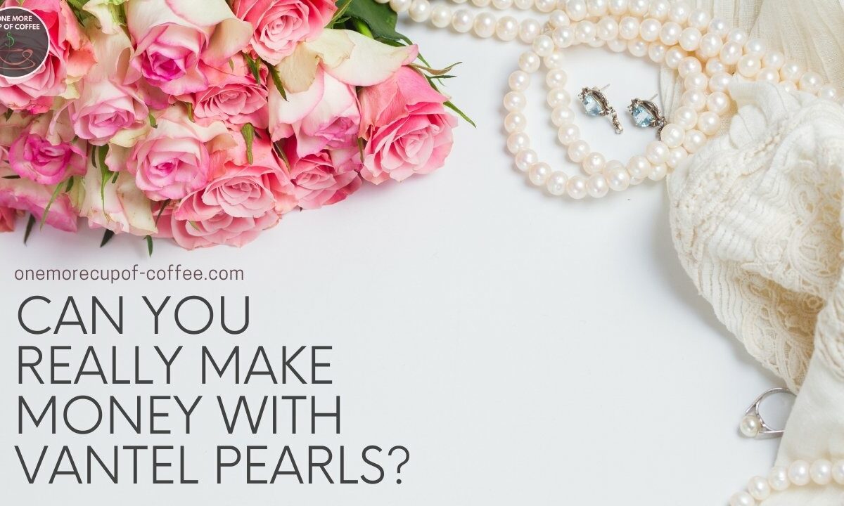 你真的可以用Vantel珍珠的特色形象赚钱吗