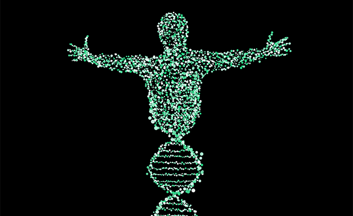 The human form represented by a DNA strand as an example of jobs for biology majors