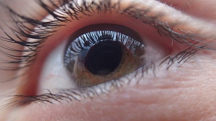 Closeup of the human eye as an example of jobs for blind people