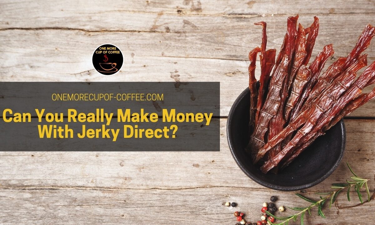 Can You Really Make Money With Jerky Direct featured image