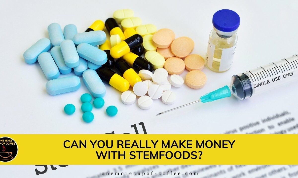 Can You Really Make Money With StemFoods featured image