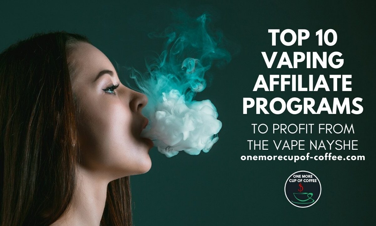 Top 10 Vaping Affiliate Programs To Profit From The Vape Nayshe featured image