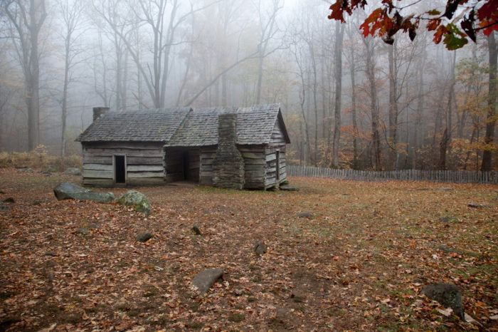 深秋前后树林里的老木屋，草地上有枯湿的树叶