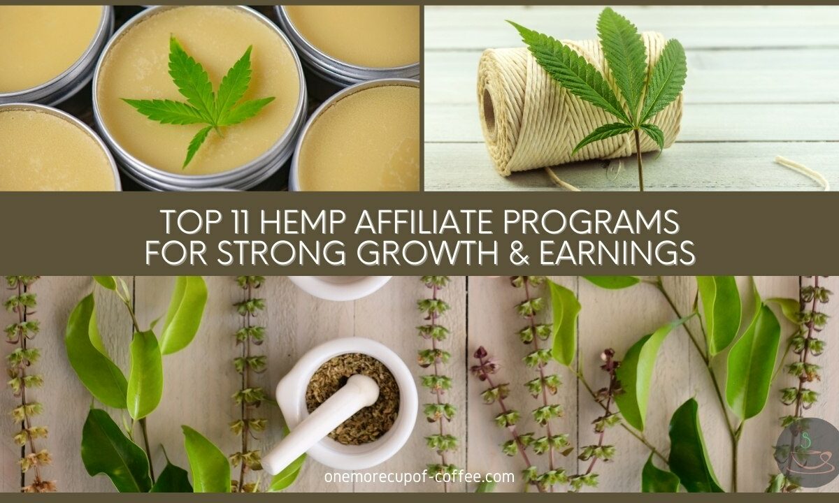 Top 11 Hemp Affiliate Programs For Strong Growth & Earnings featured image