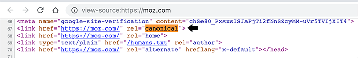 Canonical tag example