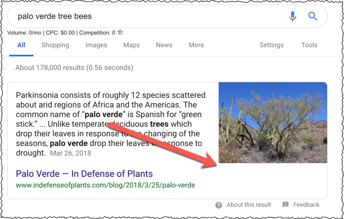 showing text snippet and image preview in Google