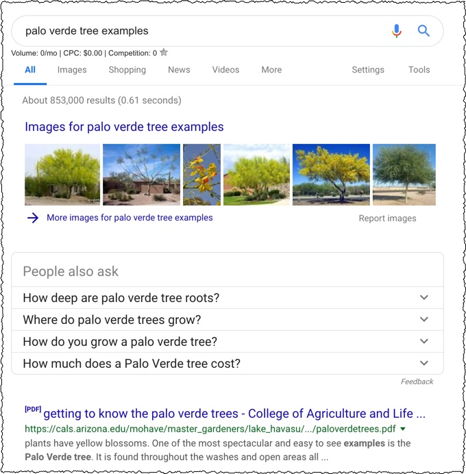 screenshot of google search for palo verde tree showing photos listed as the top result