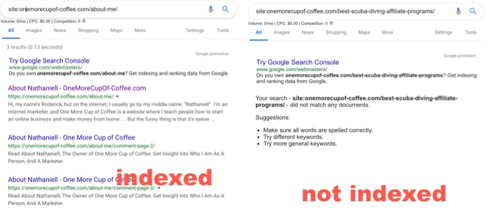 indexed vs not indexed in google search