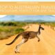 十大澳大利亚旅游联盟计划完美的任何旅游爱好者的特色形象