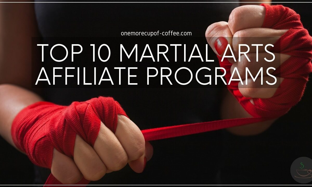 Top 10 Martial Arts Affiliate Programs featured image