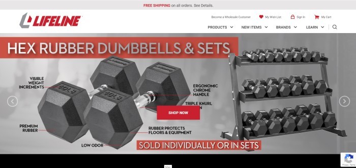 This screenshot of the home page for Lifeline Fitness includes a white header, a gray background, a picture of a set of dumbbells, and an orange banner announcing the dumbbells and sets that are for sale.