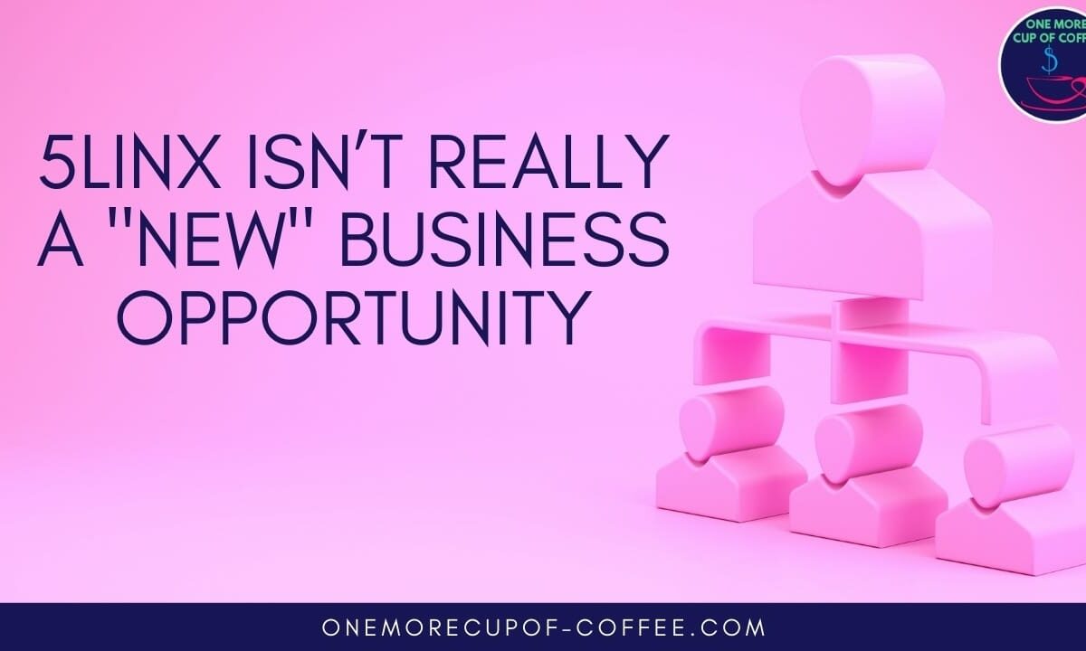 5LINX Isn’t Really A _New_ Business Opportunity featured image