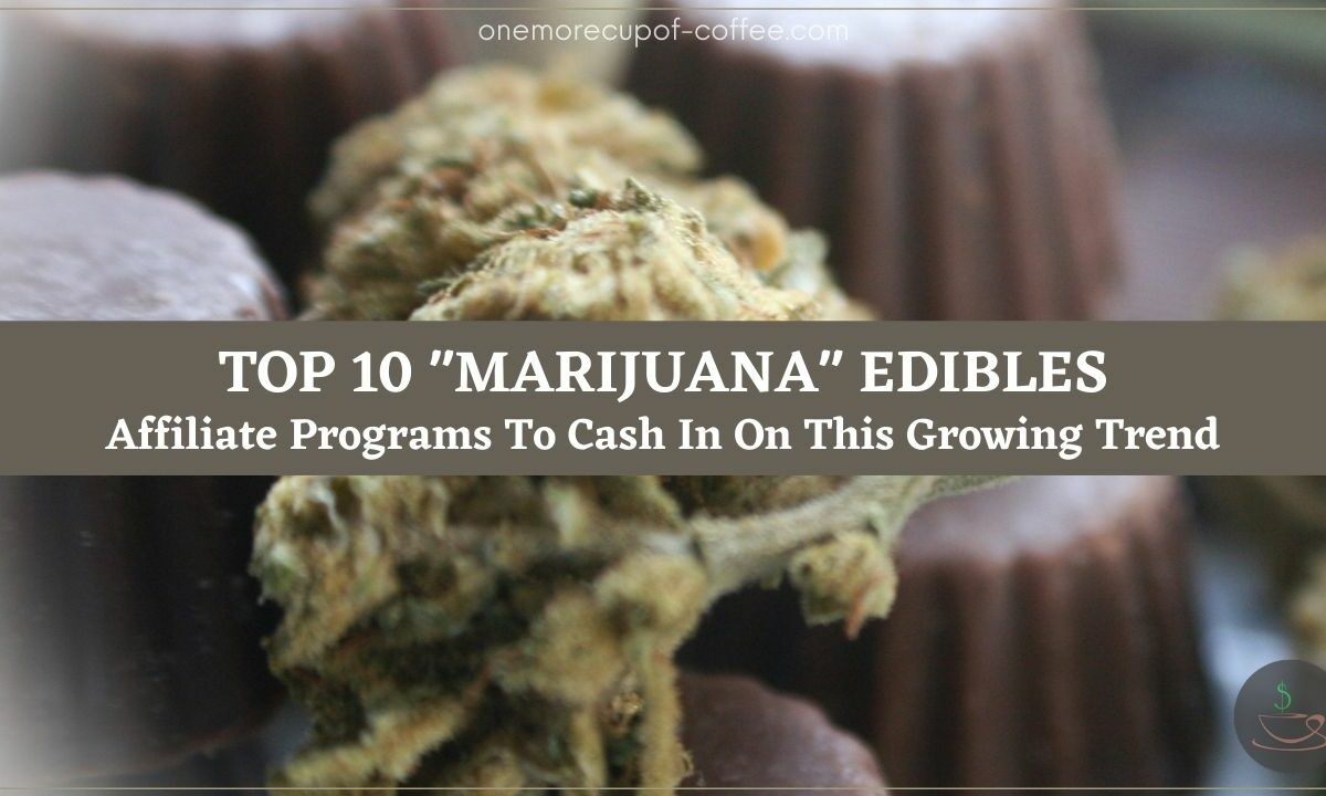 Top 10 _Marijuana_ Edibles Affiliate Programs To Cash In On This Growing Trend featured image