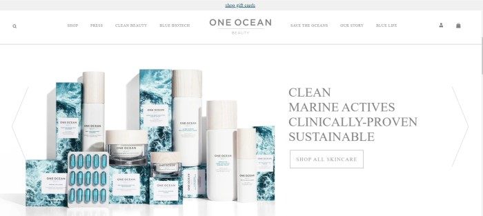 这张One Ocean Beauty主页的截图，上面有一个白色的导航栏，上面是几款One Ocean产品的照片，这些产品装在白色的瓶子和盒子里，上面装饰着蓝色和白色的海浪照片，旁边还写着清洁海洋产品的文字。