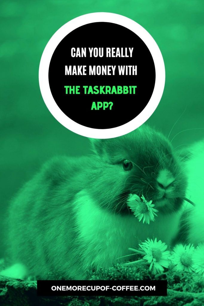 Can You Really Make Money With The TaskRabbit App?
