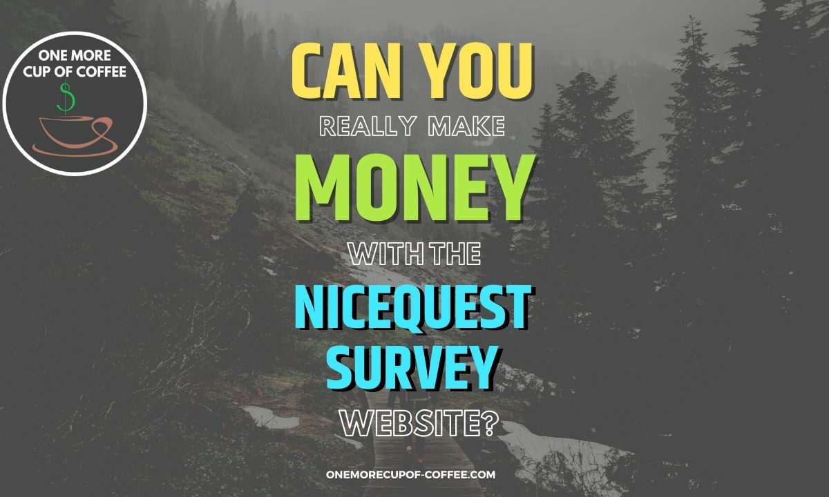 Make Money With The Nicequest Survey Website Featured Image
