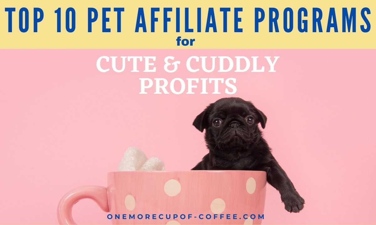 Top 10 Pet Affiliate Programs For Cute & Cuddly Profits feature image