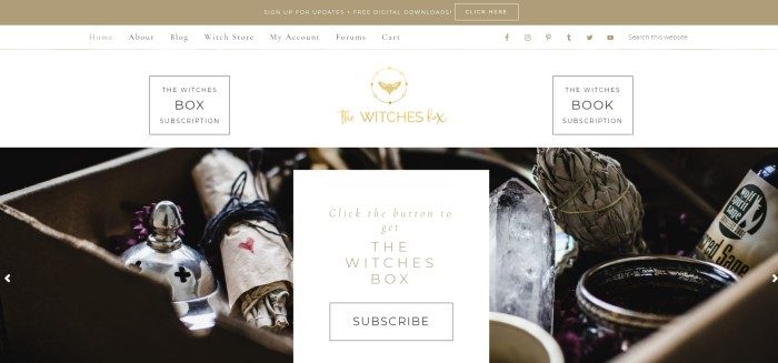 这张《the Witches Box》主页的截图有一个棕褐色的标题，一个白色的导航条，一个黑色的照片显示了一个盒子里的各种巫术物品，以及一个带有黑色和金色文字的白色订阅邀请。