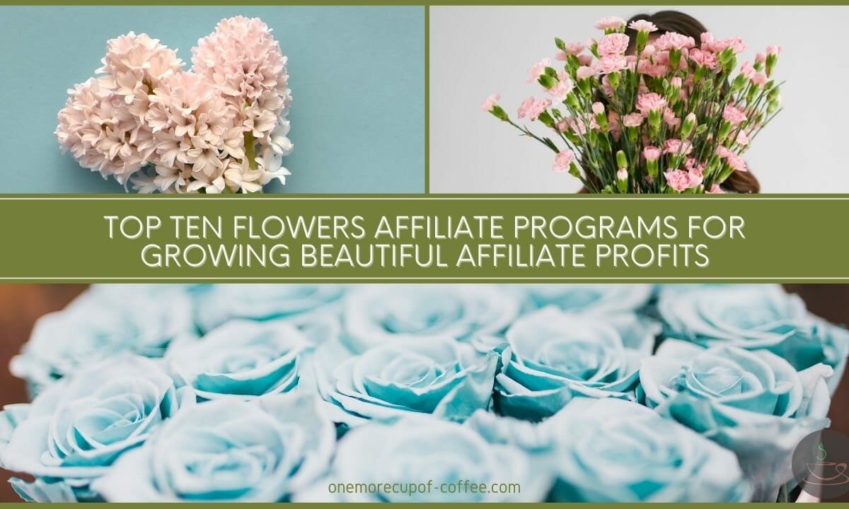 Top Ten Flowers Affiliate Programs For Growing Beautiful Affiliate Profits featured image