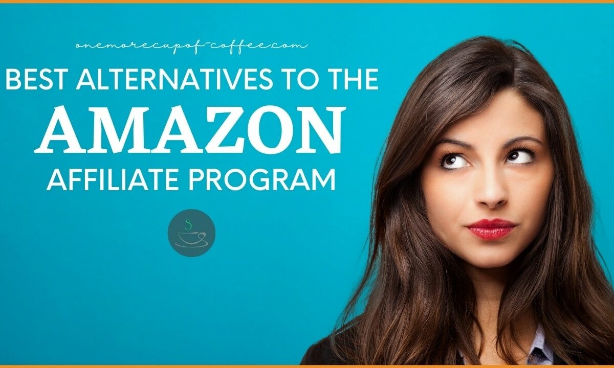 Best Alternatives To The Amazon Affiliate Program featured image