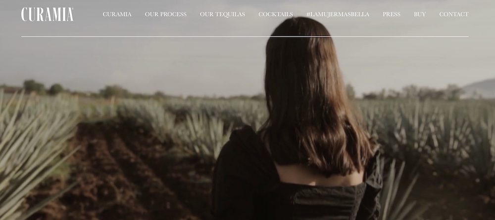 A woman standing in a field of blue agave.